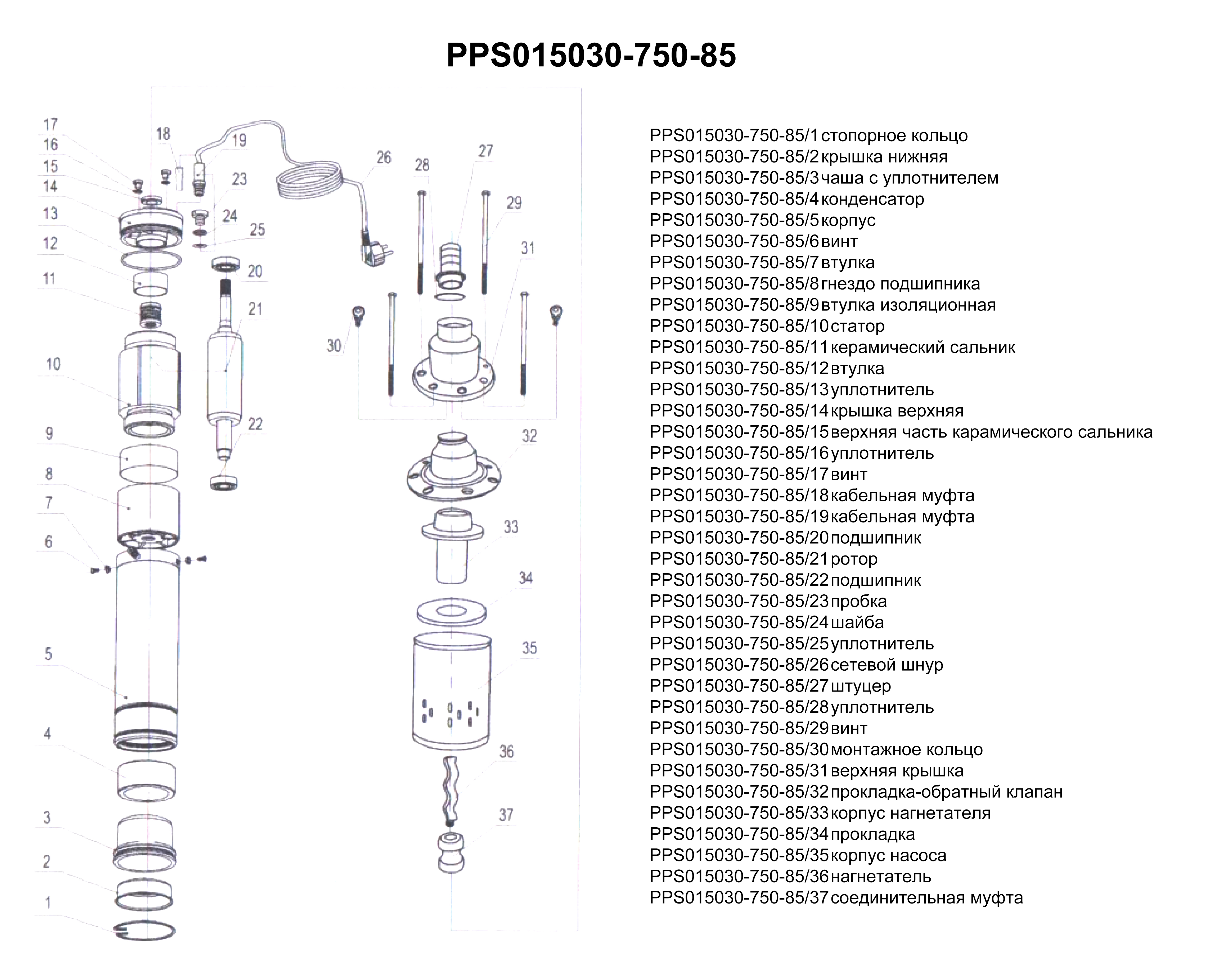Запчасти, схема и деталировка Насос скважинный PPS015030-750-85